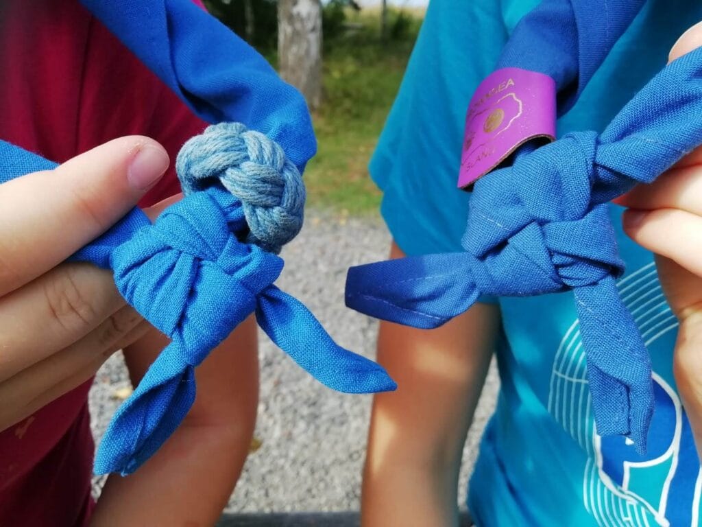 Uusi toimintavuosi alkaa - Lue lisää